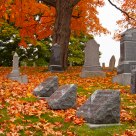 Mt Wollaston Cemetery